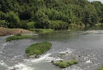 紀の川.jpg