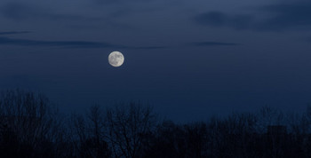 full-moon-in-the-dark-sky-during-moonrise_181624-8732.jpg